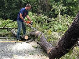 Leaf Removal in Willow Street, PA