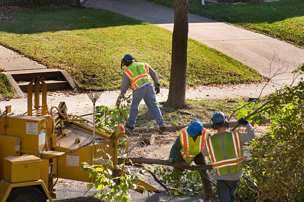 Lawn Drainage Solutions in Willow Street, PA